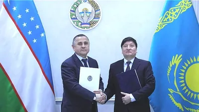 Казахстан, Узбекистан, госаудит