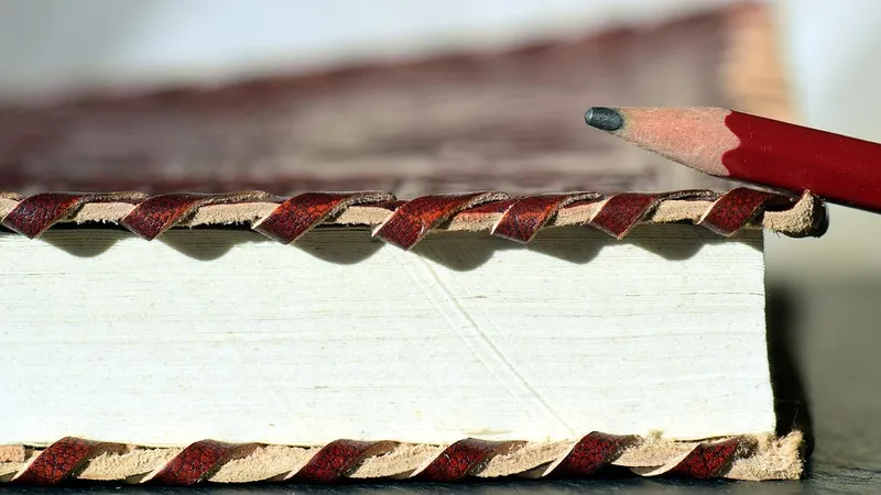 авторское право, мировые писатели