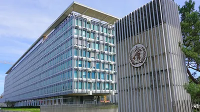 организация здоровья