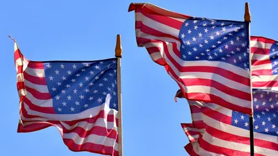 государственный флаг