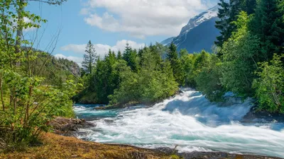 водные ресурсы