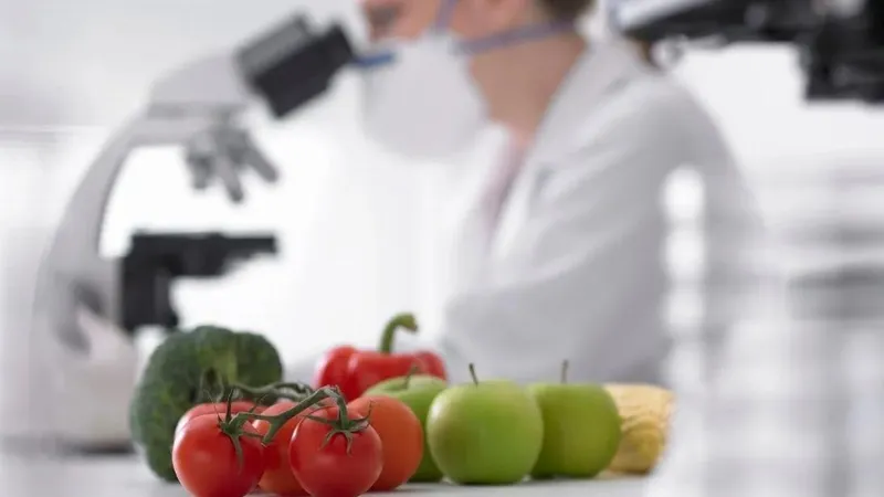 овощи, проверка