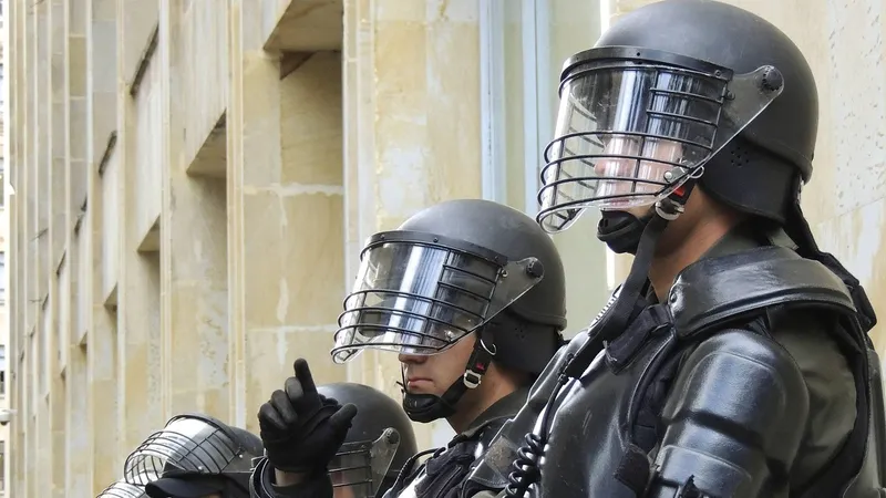 правопорядок, закон