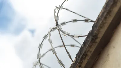 заключение, лишение свободы