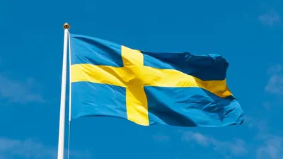 государственный флаг