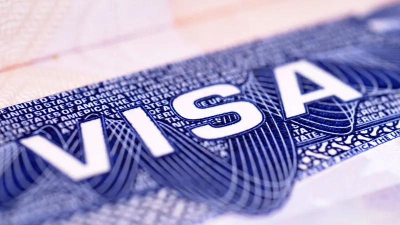 паспорт, разрешение на въезд