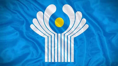 официальный флаг организации