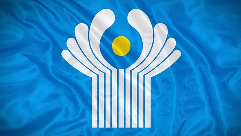 официальный флаг организации