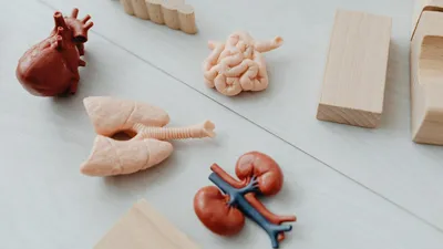 стандартизация, нормативы