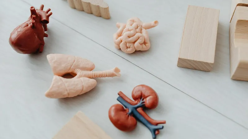 стандартизация, нормативы