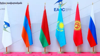 международная организация, сотрудничество