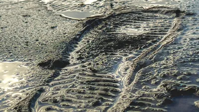 грязь, слякоть, весна