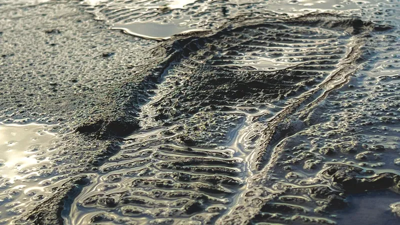 грязь, слякоть, весна