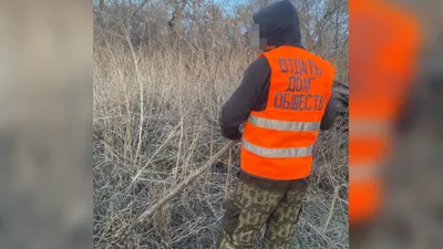 Наркотики, наркопреступления, осужденный, общественные работы
