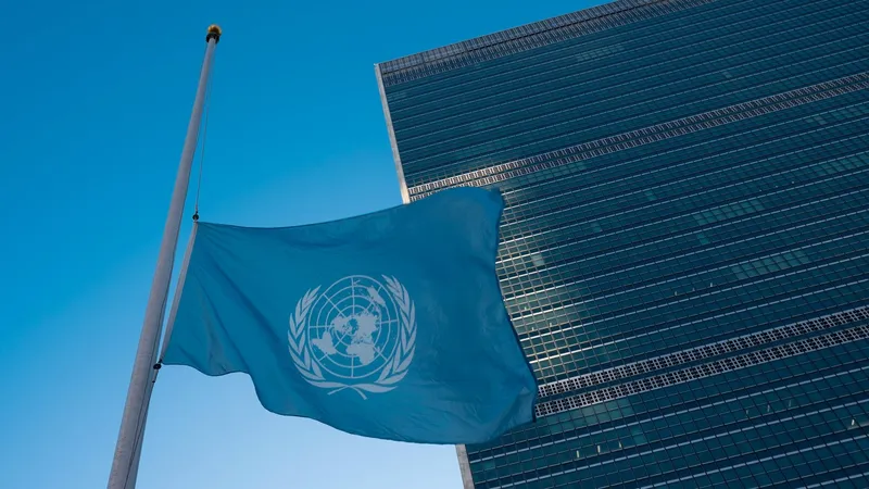 организация объединенных наций