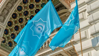 международная организация, сотрудничество