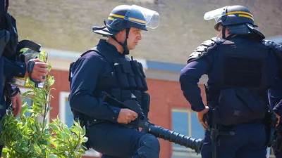 закон, правопорядок