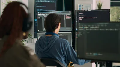 специалисты, программисты