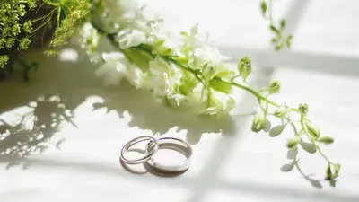 свадьба, бракосочетание