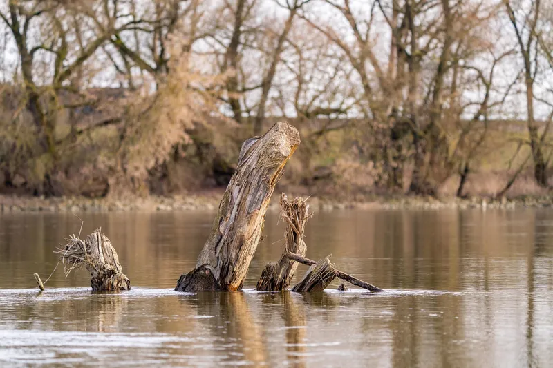 Река, поиски, спасатели