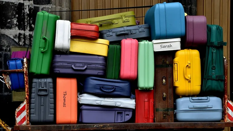 чемоданы, путешествие