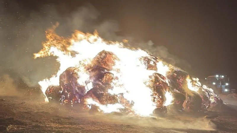 пожар, Акмолинская область, сено, огонь