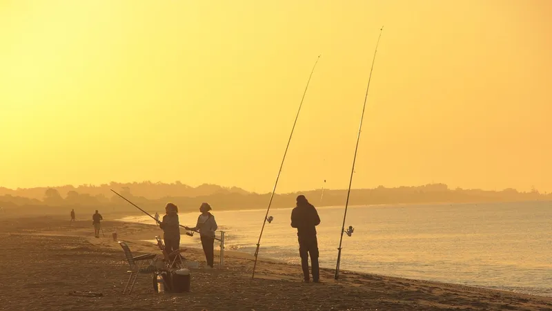 море, рыбалка, пляж