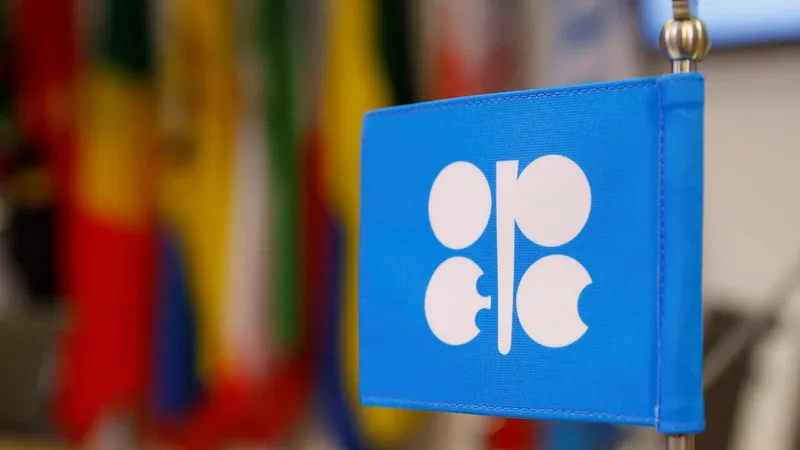 флаг организации