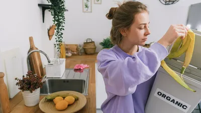 утилизация, пищевыет отходы