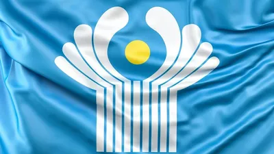 официальный флаг организации