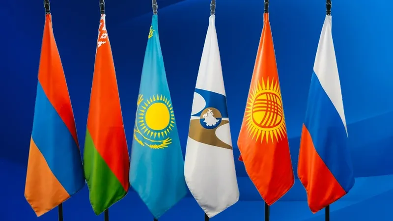международная организация, сотрудничество