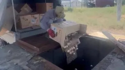 Яма Беккари, Яйца
