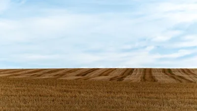 Земля