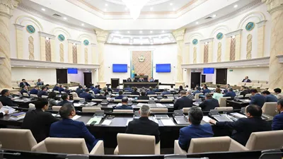 Сенат, депутаты Сената