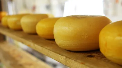 молочная продукция