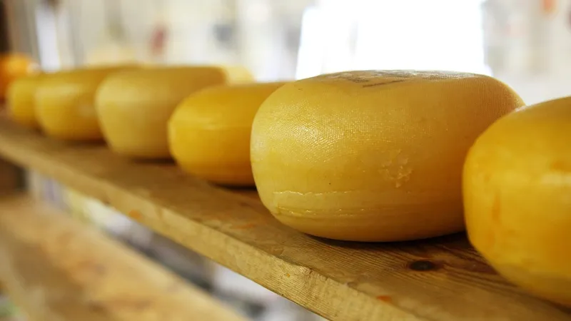 молочная продукция