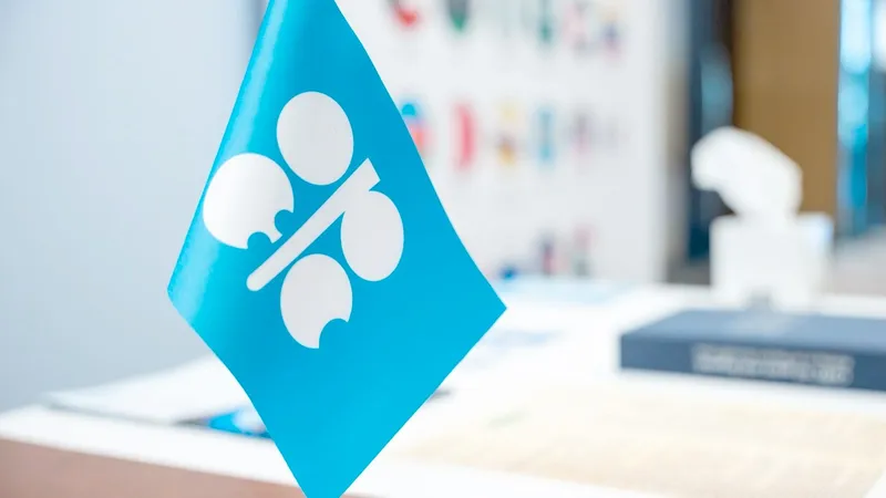 добыча нефти, международная организация