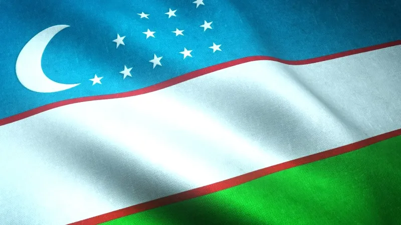 государственный флаг