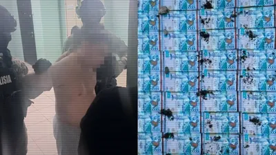 задержание, полиция, арест