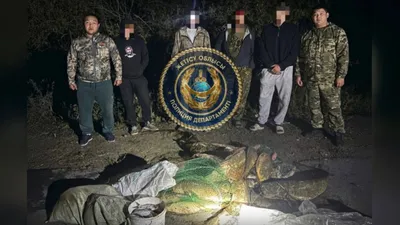 полиция, браконьеры